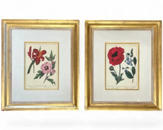 Pair of classic Syd Edwards framed botanical prints by Trowbridge; sold 2x the money