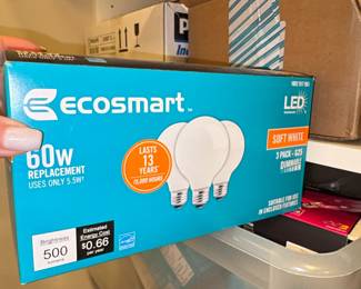 Ecosmart LED Light Bulbs third image