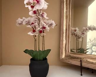 Artificial Phalaenopsis Orchid Plant in Black Pot