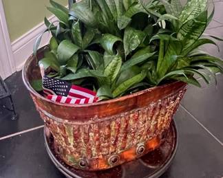 Snake Plant (Sansevieria trifasciata) in Decorative Pot