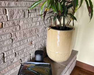 Plants