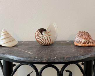 Seashells