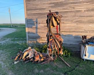 Saddle tree. Saddles. Heated doghouse