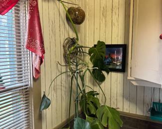 Farm decor
