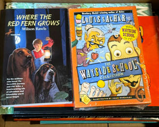 Lot 113: Assorted Children's Storybooks