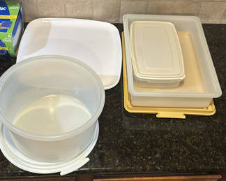 Lot 47: Assorted Plastic Food Storage Containers, Bowls, and Plates