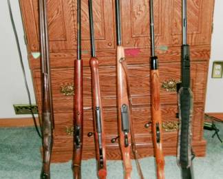 GUNS