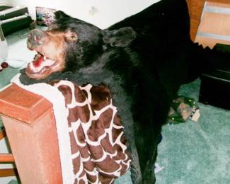 BEAR RUG