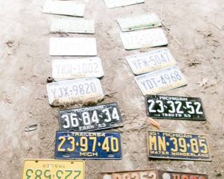 LICENSE PLATE SAMPLE