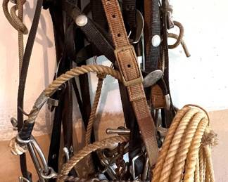 Ranch rope lasso, halters, bits, and more
