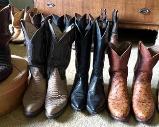 Cowboy boots- Caiman, Python, Iguana, ostrich 