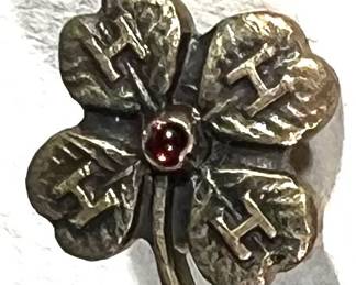 50th anniversary 4-H pin with ruby