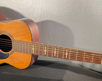 SR acoustic guitar