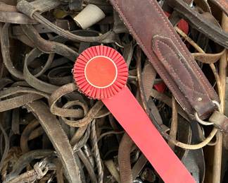 Box of misc tack, harnesses, curry combs, stirrups etc
