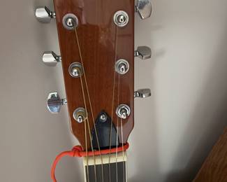 Savannah guitar 