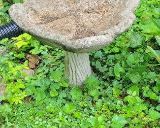 Cement bird bath