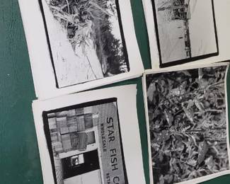 Black and white prints