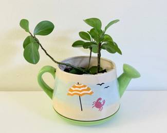 10 WateringCanShapedCeramicPotwPlant