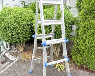 21 CoscoWorldsGreatestMultiPositionLadder
