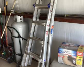 Werner 21’ Ladder