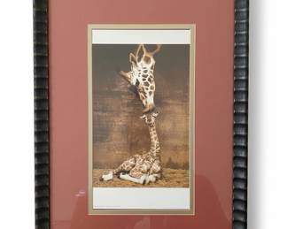Framed Makulu Giraffe Mother Love First Kiss Print by Ron DRaine