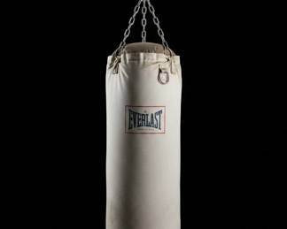Everlast Made in USA Punching Bag