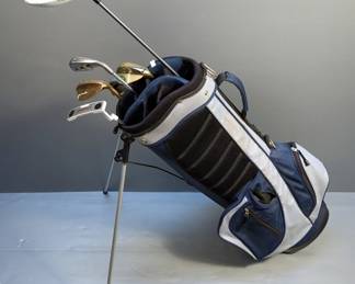 aylorMade Burner Superfast 2.0 10.5 Driver On Reax 4.8 Flex R Shaft, Logistics 1-Iron, Lucky Wedges 54 Degree Wedge, Pinemeadow Pre 55 60 Degree Lob Wedge, Wilson Fat Shaft 6-Iron, And TaylorMade Ghost Tour DA12 Putter, With Ergonomix Kickstand Golf Bag With Rain Hood And Balls