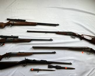 Hand Guns Removed