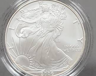 2006 Eagle Dollar Coins