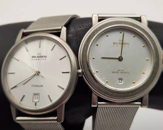 Skagen Watches