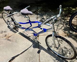 Photo 1 of 2 - Diamondback "Wildwood" Tandem Bicycle