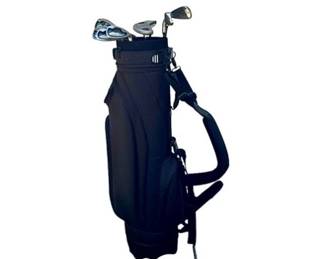 Lynx Tigress L-Flex Golf Clubs