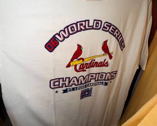 Items Located In The Finished Area Of The Lower Level