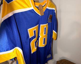 Items Located In The Finished Area Of The Lower Level