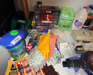 Items Located In The Garage