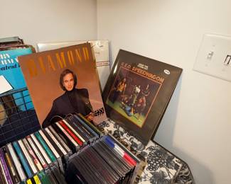 Items Located In The Finished Area Of The Lower Level