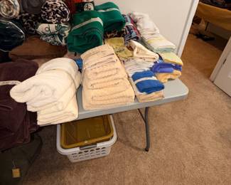 Items Located In The Finished Area Of The Lower Level
