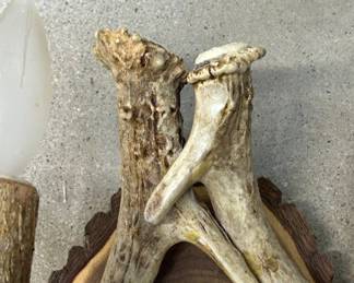 Lot #109 Real Deer Antler 2-Light Wall Sconce Live Edge Wood Backplate Rustic Cabin