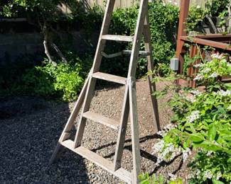203 55ftWoodOrchardLadder