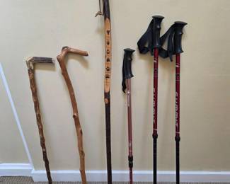197 CanesWalkingStickTrekkingPoles