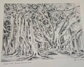 Banyan Tree, Thomas A. Edison Home, by Rose C. Parker