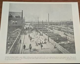 Union Stock Yards Photograph  Early s