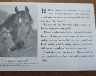 American Humane Education Society The Proud Mother Postcard by T. J. Murphy