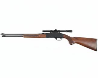 Winchester .22 cal.