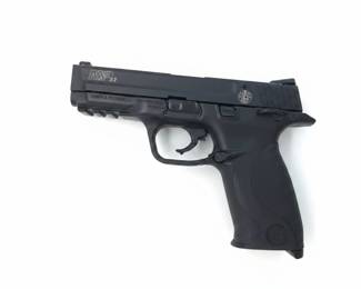 Smith and Wesson MP 22