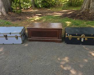 S1724AB Trunks