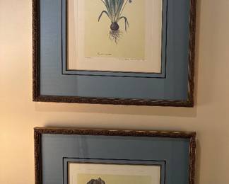Pair of Botanical Prints