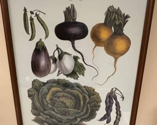 Vilmorin-Andrieux Vegetable Botanical Prints Set
