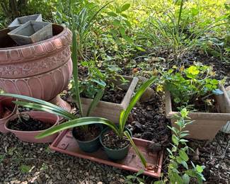 Terracotta Rope-Twist Rim Planter