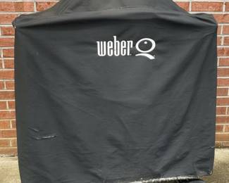 Weber Q Series Portable Grill